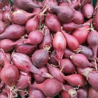 red baron onions