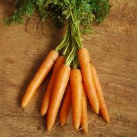 Carrot Rodelika