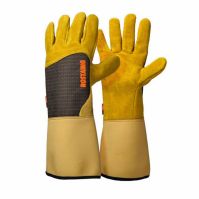'Roncier' Garden Glove