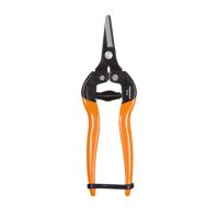 short garden scissor