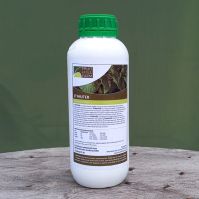 root stimulator