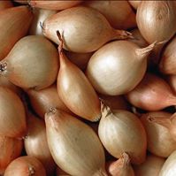 Larger Sturon onion sets