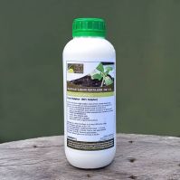 sulphur fertilizer