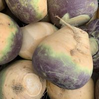 Swede 'Hedwig'