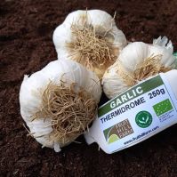 Organic Thermidrome Garlic