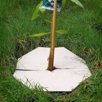 Mulch Disc for Plants