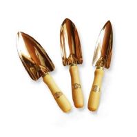 COPPER TROWELS CASTOR, MUSCA AND MIRA (PKS