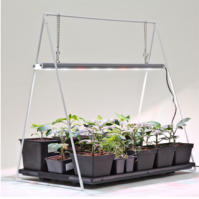 LED Grow Light