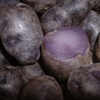 Purple Potatoes