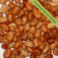 organic field beans