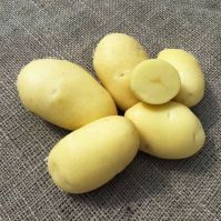 Vitabella white second early Organic Seed Potatoes