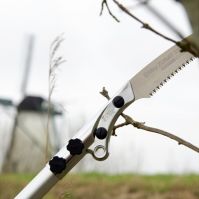 Professional Pole Saw