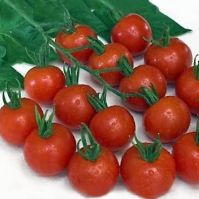 Organic Zuckertraube Tomato Seeds