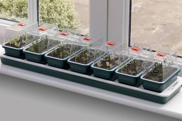 3 Three Top Windowsill Heated Electric Propagator Plant Seed Tray Trays Heating 