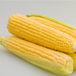Organic Sweetcorn Damaun Early