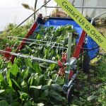 Terrateck baby leaf harvester