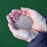 Handful of mycorrhiza for organic growing