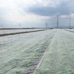 Bionet Professional Insect Net