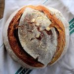 Home baking with organic baking wheat