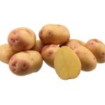 Carolus delicious yellow fleshed early maincrop potato 