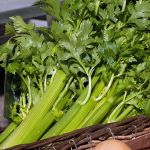 Celery Tall Utah Seeds
