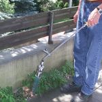 Flame Weeder