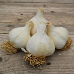 Cledor Organic Garlic