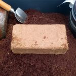 coco coir briquette