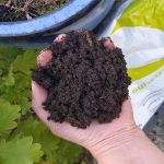 Organic Peat Free Compost