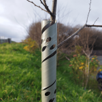 small tee guard eco friendly