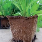 Fertilpots Ireland