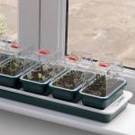 good value propagator
