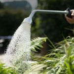 Professional Watering Lance