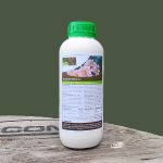 Herfomyc stimulates healthy growth of herbaceous crops