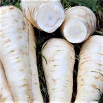 Organic Parsnips
