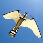 Peregrine Hawk Kite