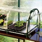 Heated Propagator for Plants