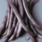 French Bean 'Purple Queen'