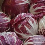 Organic Palla Rossa Seeds