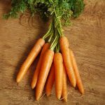 Carrot Rodelika