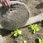 Wool Slug Barrier