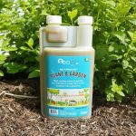 cold pressed liquid seaweed