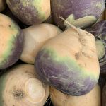 Swede 'Hedwig'