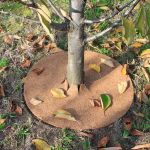 Jute Mulch Discs