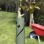 Tree guard