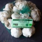 Garlic for planting and growing in Ireland