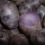 Purple Potatoes