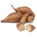 Yacon Tuber