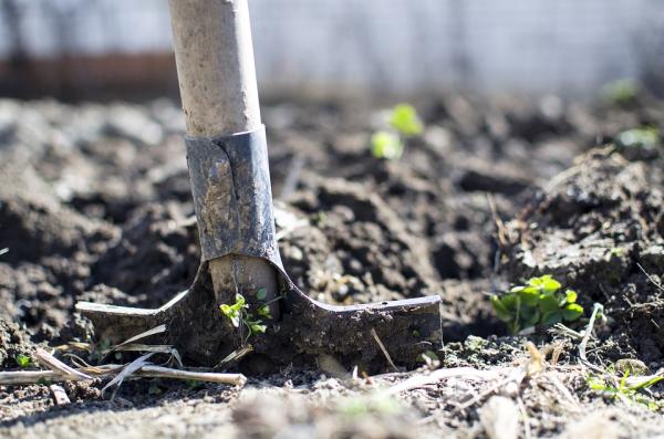 Love your soil - Learn about soil conditioners
