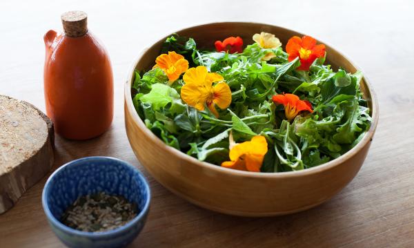 Edible Flowers